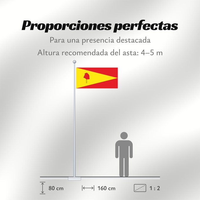 Proporciones de la bandera: Pereira  Risaralda	Pereira	Ciudad de Pereira  Risaralda