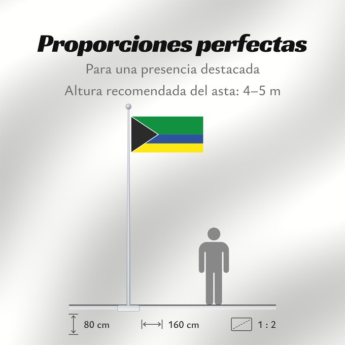 Proporciones de la bandera: Piamonte  Cauca	Piamonte (Cauca)	Municipio de Piamonte  Cauca