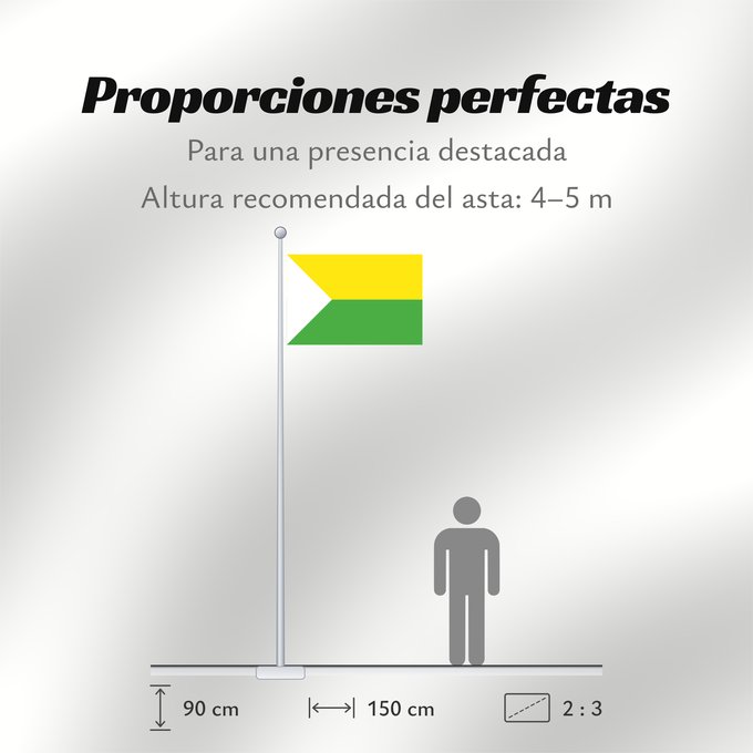 Proporciones de la bandera: Puerto Carreño	Capital de Vichada Puerto Carreño