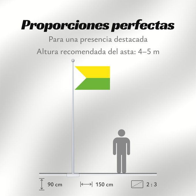 Proporciones de la bandera: Puerto Carreño  Vichada	Puerto Carreño (Vichada)	Municipio de Puerto Carreño  Vichada