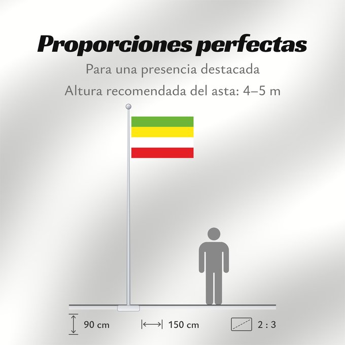 Proporciones de la bandera: Puerto Gaitán Meta Puerto Gaitán Municipio de Puerto Gaitán Meta