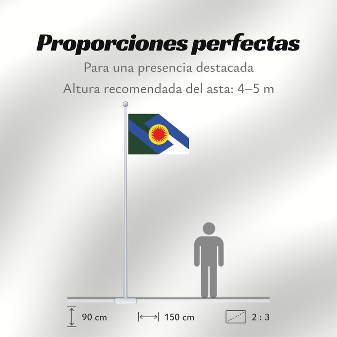 Proporciones de la bandera: Puerto Inírida Guainía Puerto Inírida Municipio de Puerto Inírida Guainía