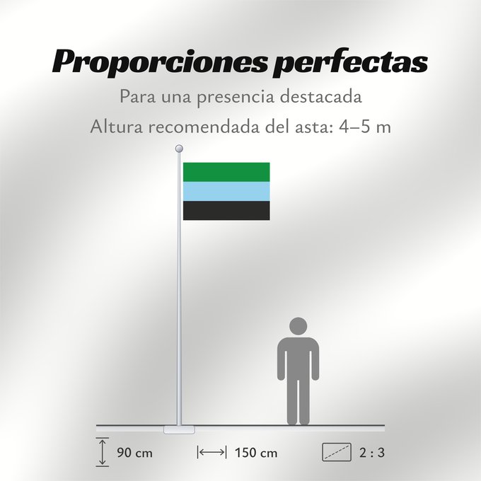 Proporciones de la bandera: Puerto Wilches  Santander	Puerto Wilches	Municipio de Puerto Wilches  Santander