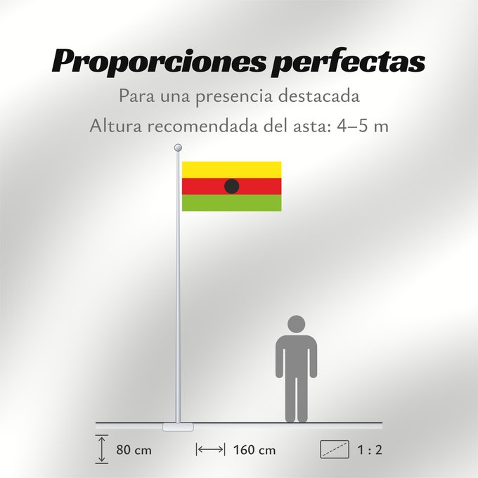 Proporciones de la bandera: Quinchía Risaralda Quinchía (Risaralda) Municipio de Quinchía Risaralda