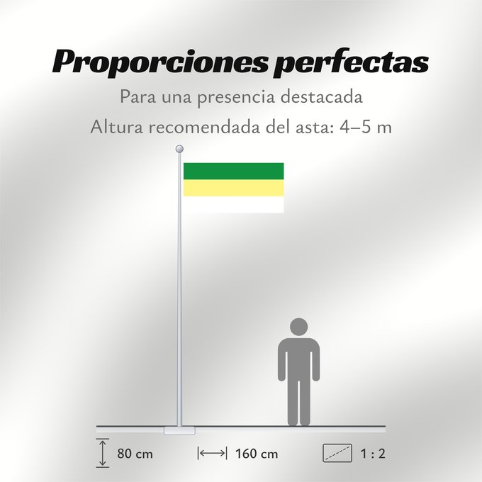 Proporciones de la bandera: Salamina  Magdalena	Salamina (Magdalena)	Municipio de Salamina  Magdalena