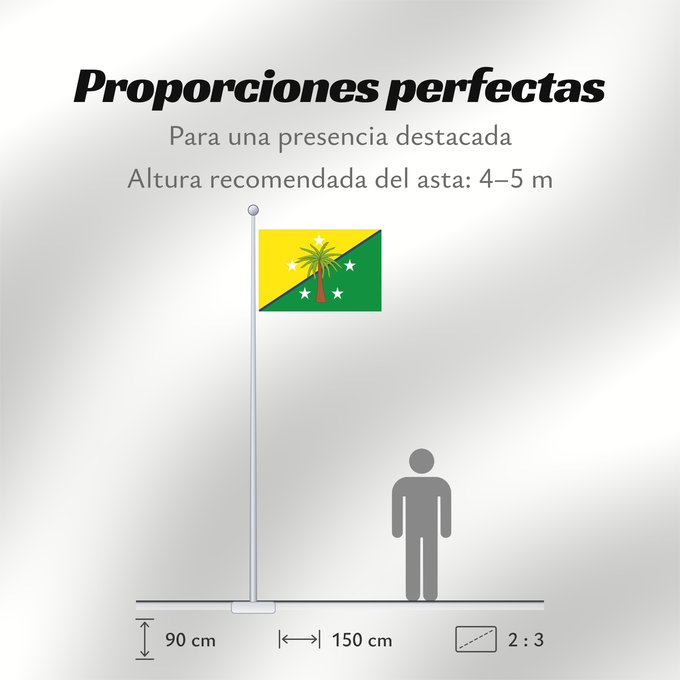 Proporciones de la bandera: San Alberto  Cesar	San Alberto (Cesar)	Municipio de San Alberto  Cesar