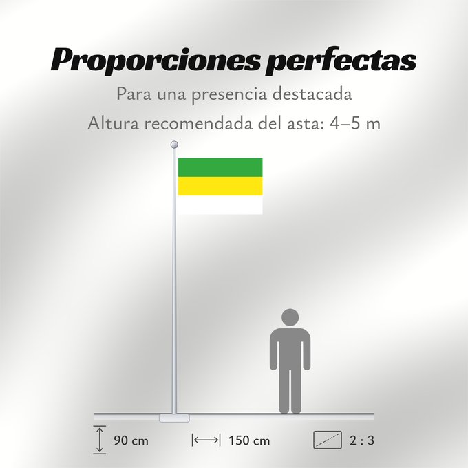 Proporciones de la bandera: San Carlos de Guaroa  Meta	San Carlos de Guaroa (Meta)	Municipio de San Carlos de Guaroa  Meta