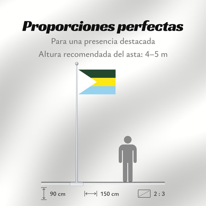 Proporciones de la bandera: San Jacinto del Cauca  Bolívar	San Jacinto del Cauca	Municipio de San Jacinto del Cauca  Bolívar