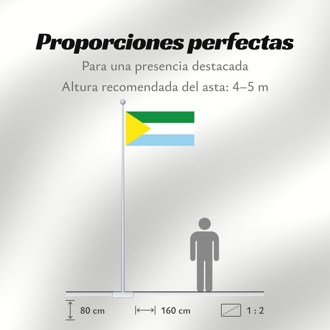 Proporciones de la bandera: San Vicente de Caguán Caquetá San Vicente de Caguán Municipio de San Vicente del Caguán Caquetá