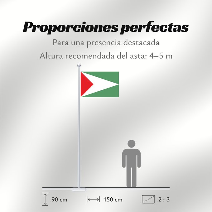 Proporciones de la bandera: Sandoná  Nariño	Sandoná (Nariño)	Municipio de Sandoná  Nariño