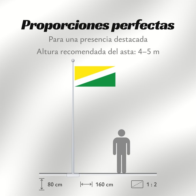 Proporciones de la bandera: Santa Rosalía Vichada Santa Rosalía (Vichada) Municipio de Santa Rosalía Vichada
