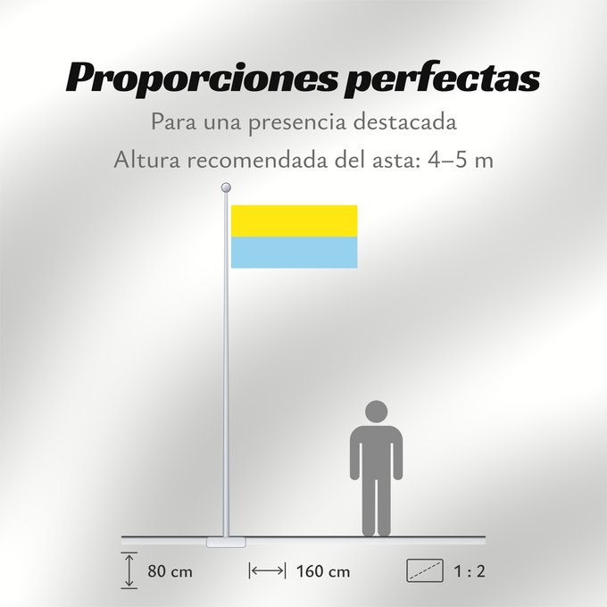 Proporciones de la bandera: Santuario  Risaralda	Santuario (Risaralda)	Municipio de Santuario  Risaralda