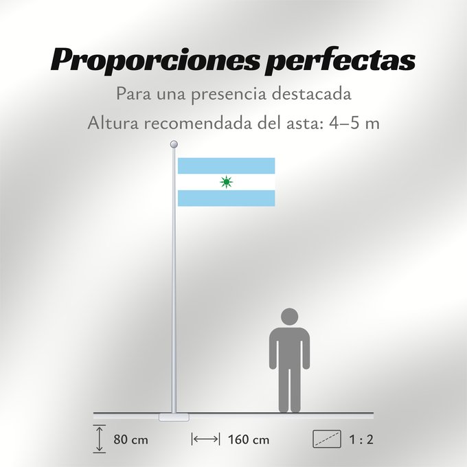 Proporciones de la bandera: Sitionuevo  Magdalena	Sitionuevo (Magdalena)	Municipio de Sitionuevo  Magdalena