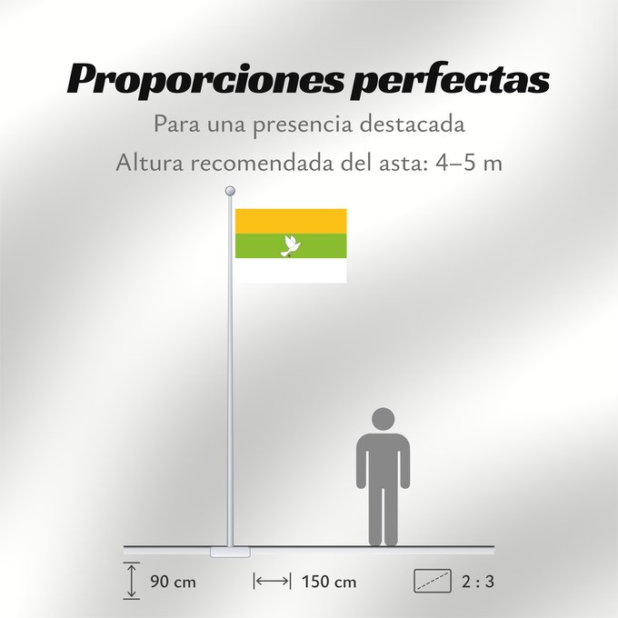Proporciones de la bandera: Tamalameque  Cesar	Tamalameque	Municipio de Tamalameque  Cesar
