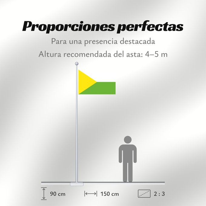 Proporciones de la bandera: Taraira  Vaupés	Taraira	Municipio de Taraira  Vaupés