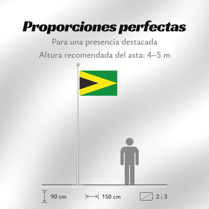 Proporciones de la bandera: Tibú Norte de Santander Tibú Municipio de Tibú Norte de Santander