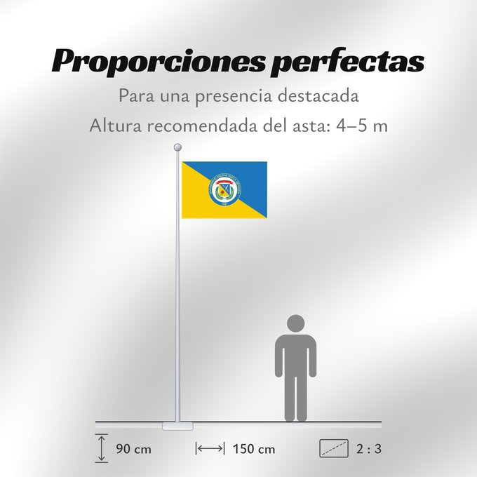 Proporciones de la bandera: Universidad Militar Nueva Granada