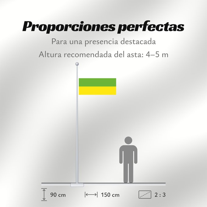 Proporciones de la bandera: Vianí  Cundinamarca	Municipality of Vianí  Cundinamarca	Vianí (Cundinamarca)	Municipio de Vianí  Cundinamarca