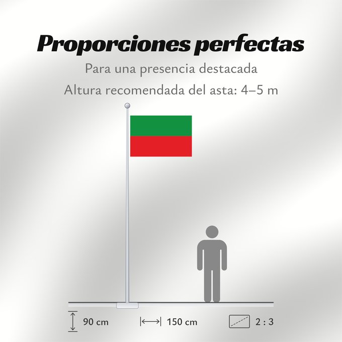 Proporciones de la bandera: Viotá  Cundinamarca	Viotá (Cundinamarca)	Municipio de Viotá  Cundinamarca