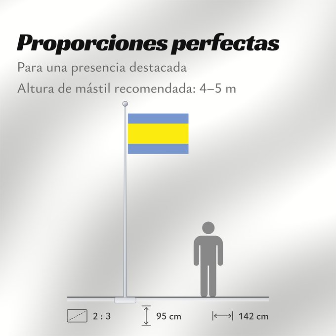 Proporciones de la bandera: Dacice