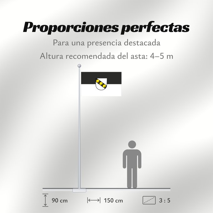 Proporciones de la bandera: Wernau (Neckar) (Region Stuttgart)