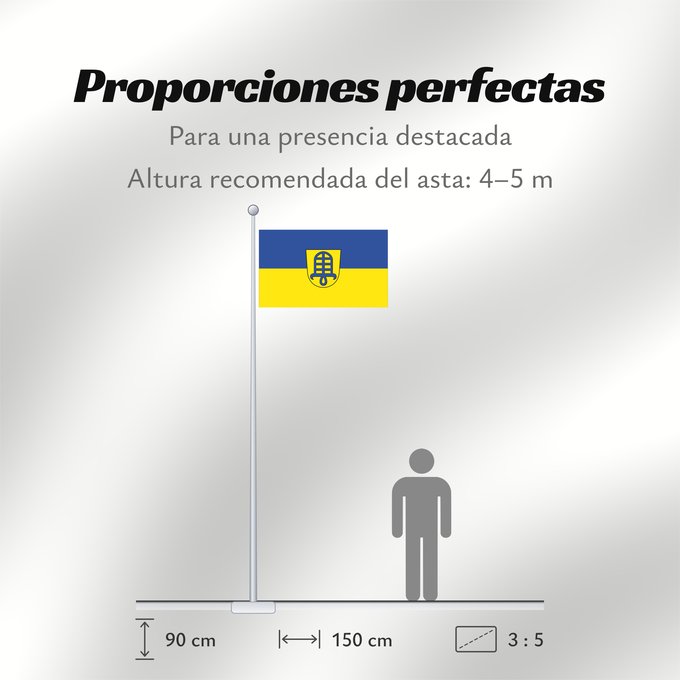Proporciones de la bandera: Hemmingen (Region Stuttgart)