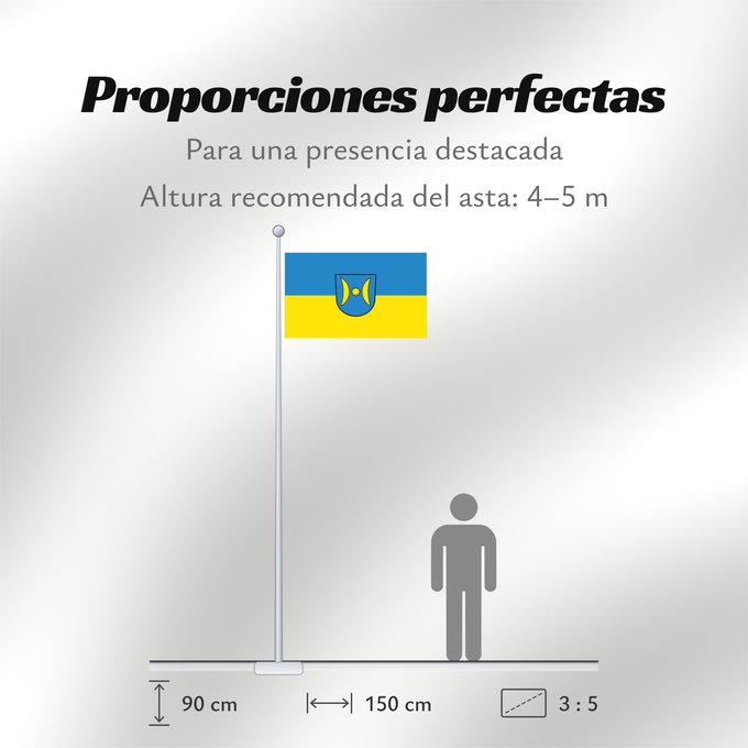 Proporciones de la bandera: Schwieberdingen (Region Stuttgart)