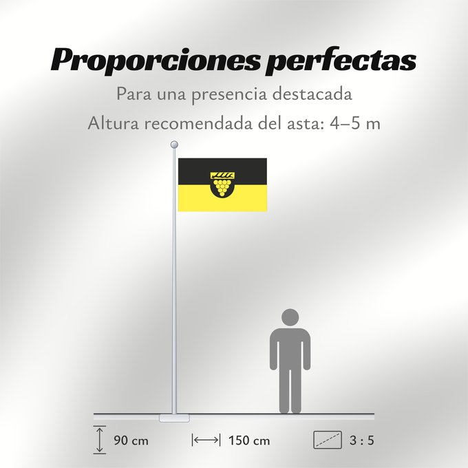 Proporciones de la bandera: Weinstadt (Region Stuttgart)