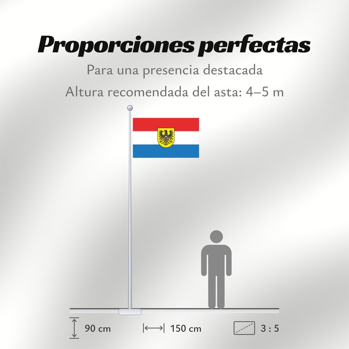 Proporciones de la bandera: Heilbronn (Nördliches Baden-Württemberg)