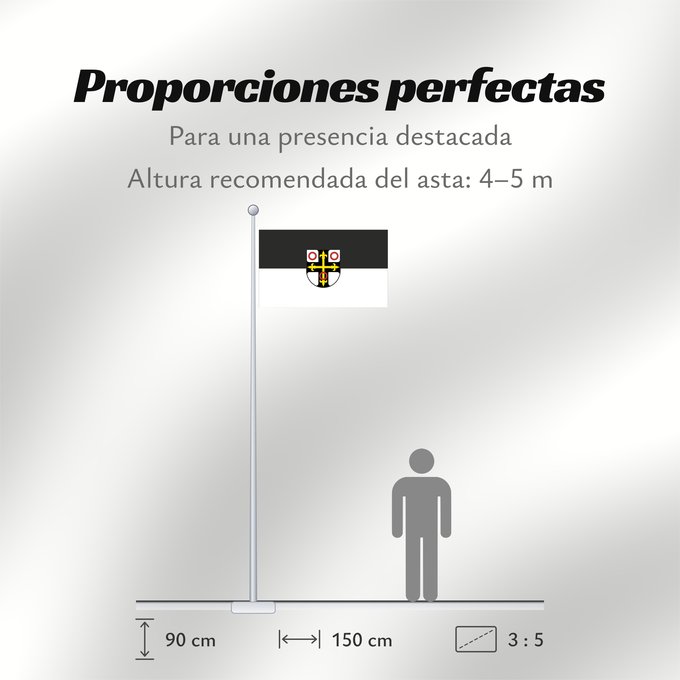 Proporciones de la bandera: Neckarsulm (Nördliches Baden-Württemberg)