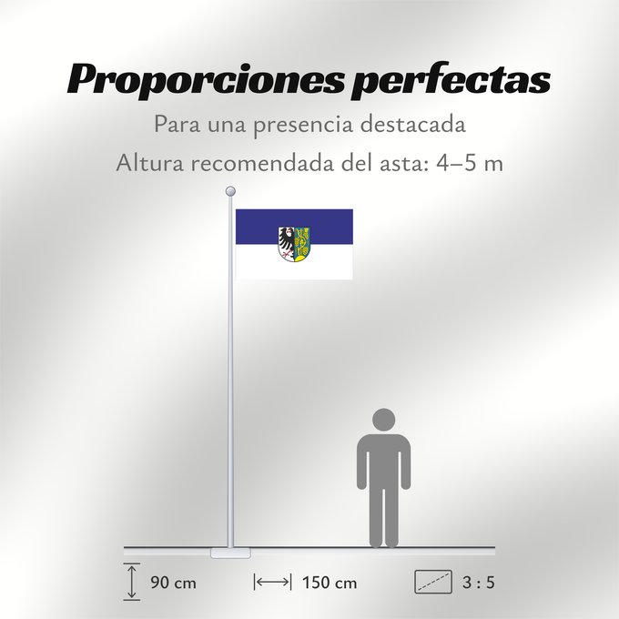 Proporciones de la bandera: Weinsberg (Nördliches Baden-Württemberg)