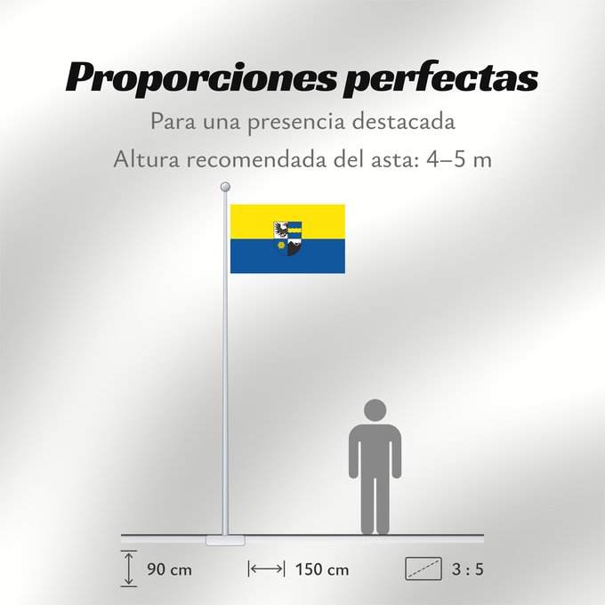 Proporciones de la bandera: Freudenberg (Nördliches Baden-Württemberg)