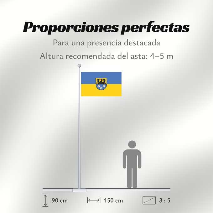 Proporciones de la bandera: Wertheim (Nördliches Baden-Württemberg)