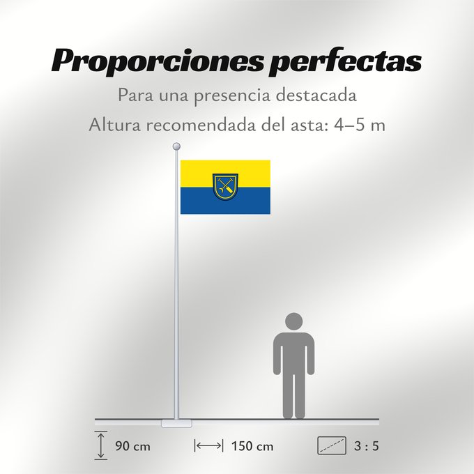 Proporciones de la bandera: Linkenheim-Hochstetten (Nördliches Baden-Württemberg)