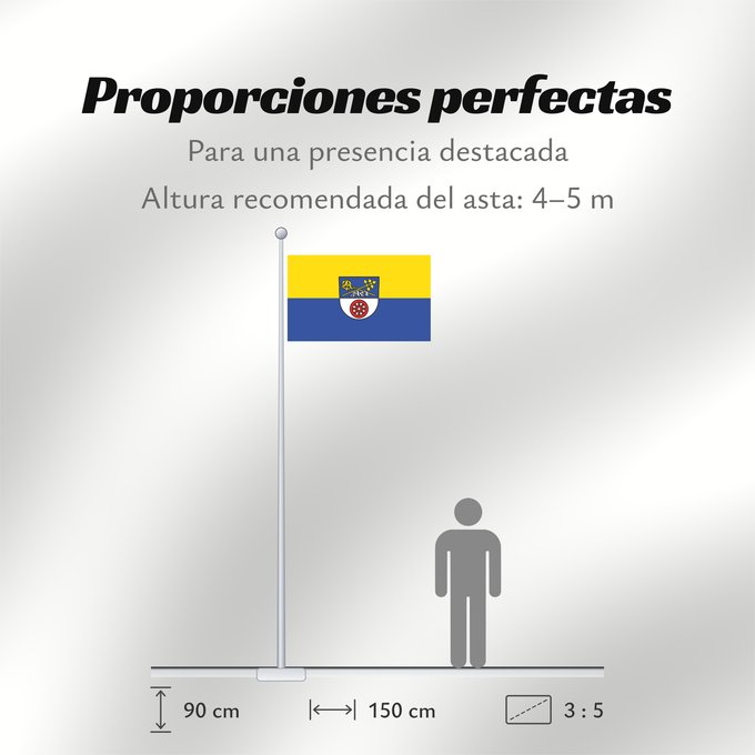 Proporciones de la bandera: Billigheim (Nördliches Baden-Württemberg)