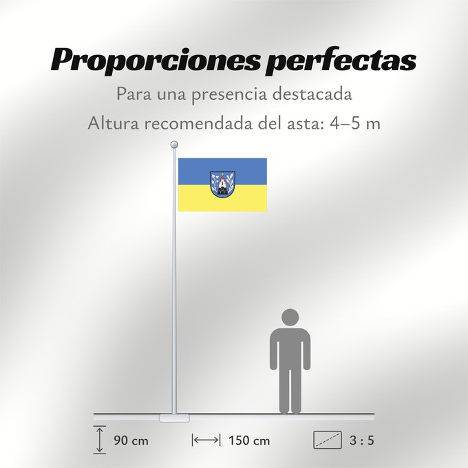 Proporciones de la bandera: Waldkirch (Südlicher Schwarzwald)