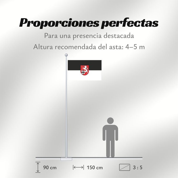 Proporciones de la bandera: Tengen (Hegau)