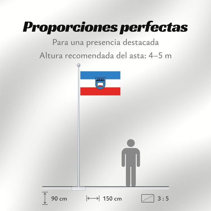 Proporciones de la bandera: Pfullingen (Schwäbische Alb)