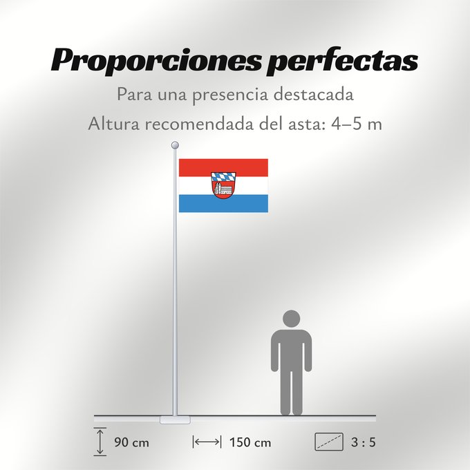 Proporciones de la bandera: Cham (Kreis)
