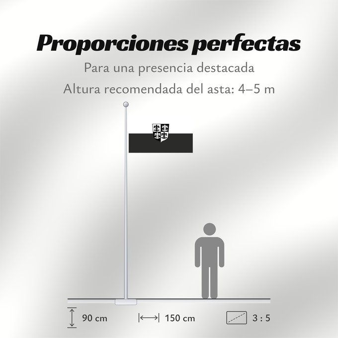 Proporciones de la bandera: Plößberg, M (Oberpfälzer Wald)