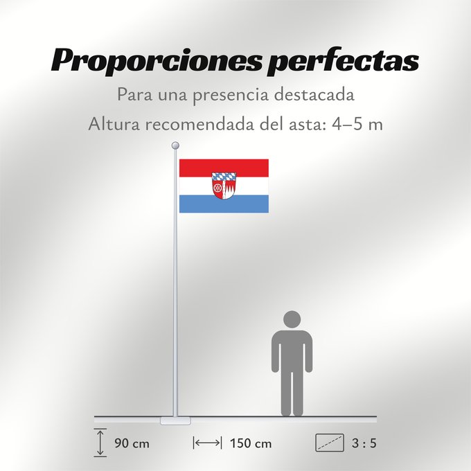 Proporciones de la bandera: Miltenberg (Kreis)