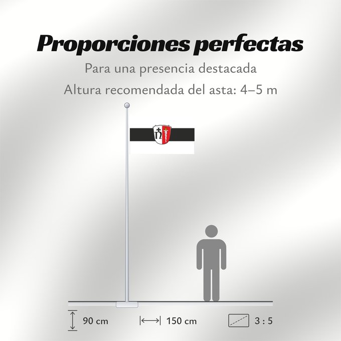 Proporciones de la bandera: Neustadt a.Main (Spessart-Mainland)