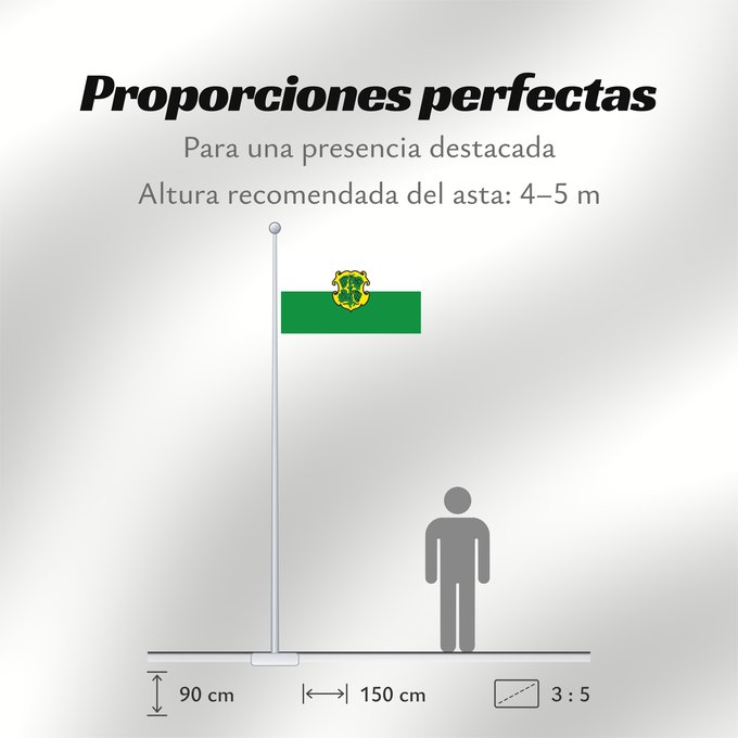 Proporciones de la bandera: Dingolshausen (Steigerwald)