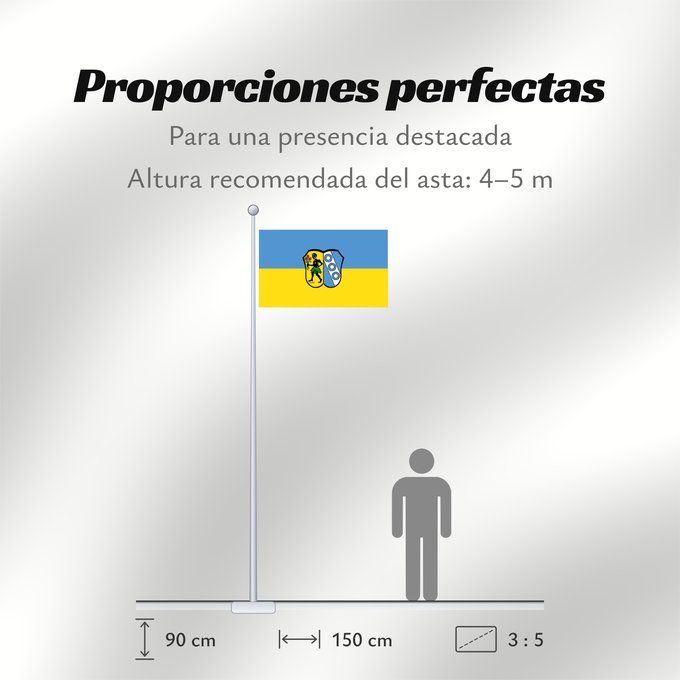 Proporciones de la bandera: Unterpleichfeld (Fränkisches Weinland)