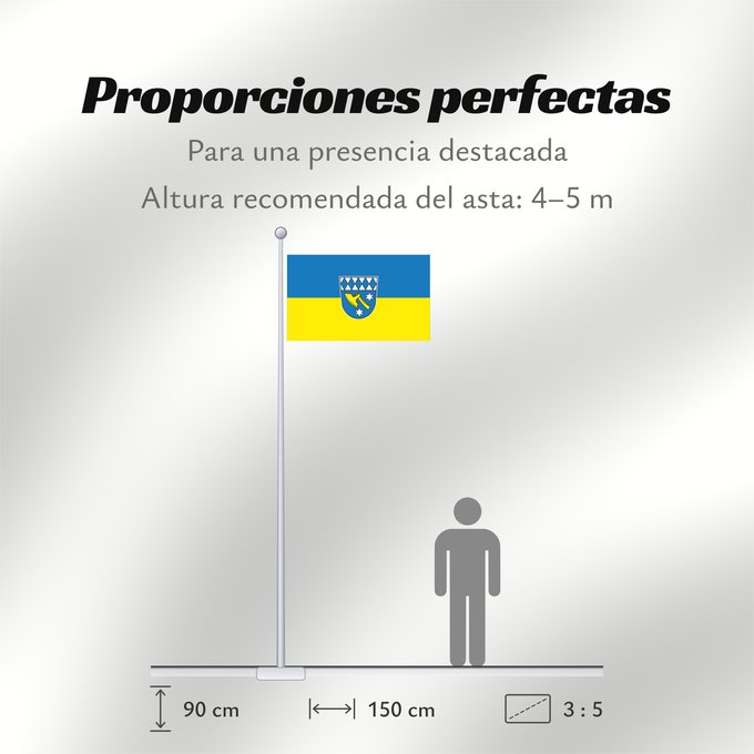 Proporciones de la bandera: Dasing (Bayerisch-Schwaben)