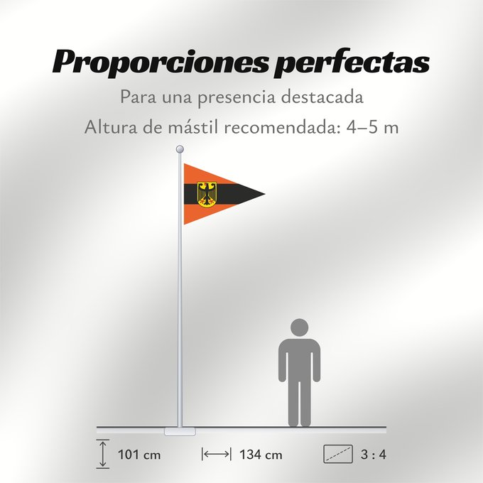 Proporciones de la bandera: Bataillonskommandeur Streitkräftebasis Feldjäger Bundeswehr 2004