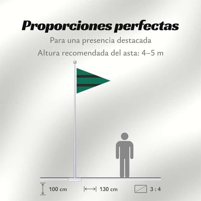 Proporciones de la bandera: Brigadekommandeur Infanterie Bundeswehr