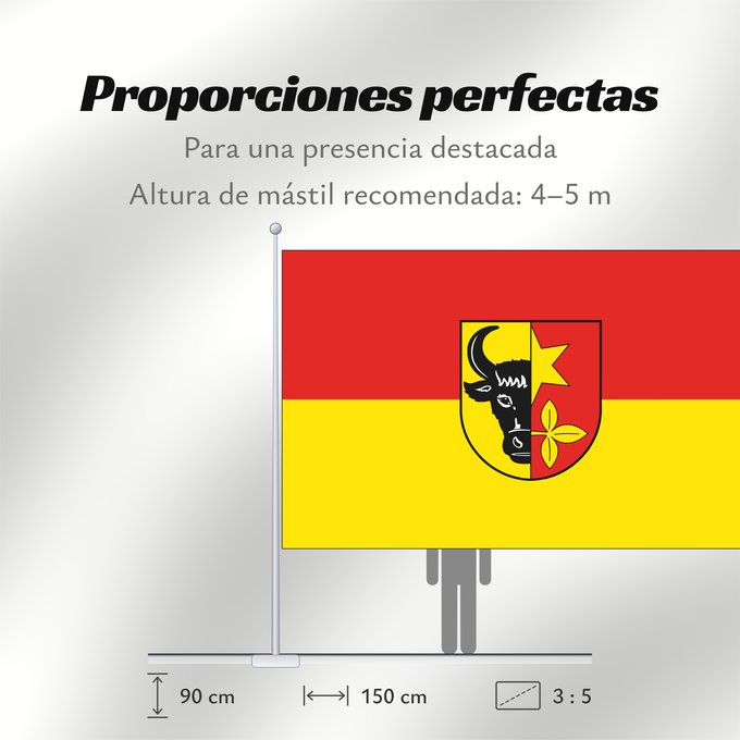 Proporciones de la bandera: Brueel	City of Brüel	Ville de Brüel	Brüel	Stadt Brüel