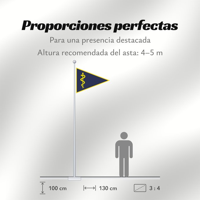 Proporciones de la bandera: Chef Sanitätskompanie 2004
