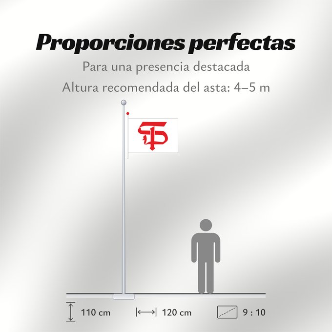 Proporciones de la bandera: Deutsche Turnerschaft DT